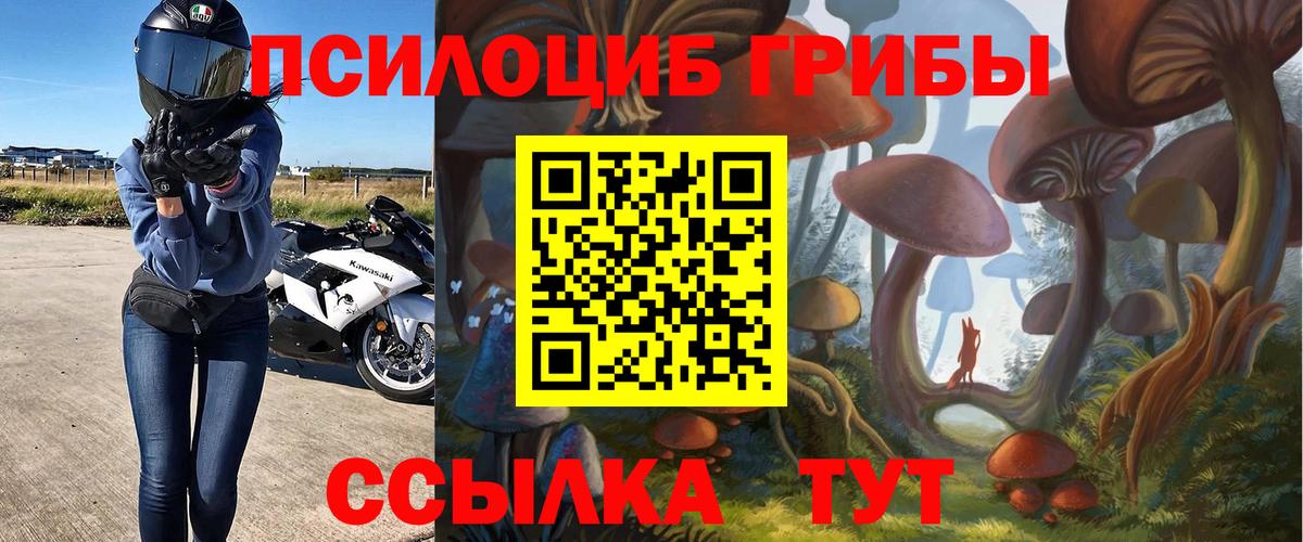 Псилоцибиновые грибы Psilocybine cubensis  Вход с VPN  Галлюциногенные грибы мицелий  Люберцы 